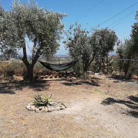 Villa Emma Con Panorama Etna A 10 Minuti Dal Mare Лентини Экстерьер фото
