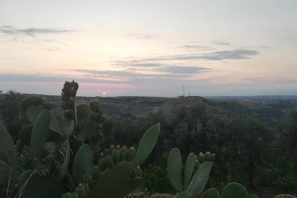 Villa Emma Con Panorama Etna A 10 Minuti Dal Mare Лентини Экстерьер фото